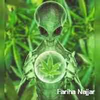 RoyalSaul17060's profile picture. 🌊 isla del mar