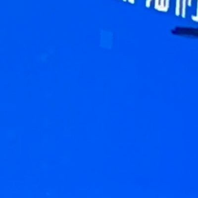 PelegRon's profile picture. 