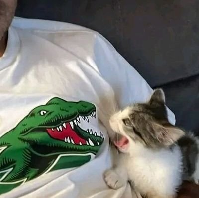 choraporex's profile picture. fiz pra poder falar do meu ex secretamente sem ele saber que sou eu