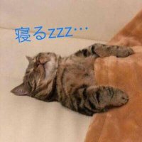 ๐๐ธ๐ฆ๐พใพใผใใ๐๐ ๐๐ (@ab088050cd) 's Twitter Profile