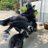 LU1Sofficial's profile image