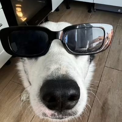 calmaipaezao's profile picture. feliz ate o flamengo jogar