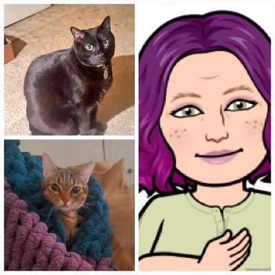 aizukiyo_'s profile picture. Cat mom to Luki&Ty; lesbian; she/her; Nail Tech; Takarazuka fan➡️Venmo/CashApp: @aizukih93
➡️Wish List: https://t.co/VHQeSQdxPv