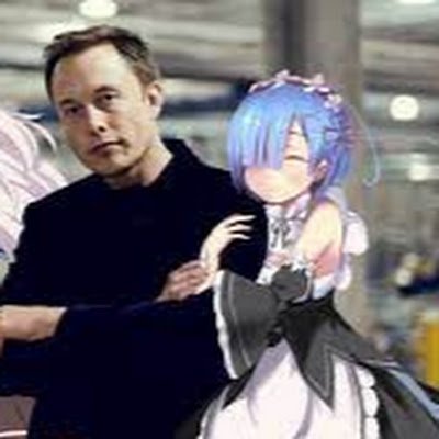 waifunador's profile picture. 