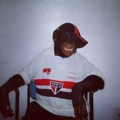 matheusguisan's profile picture. 