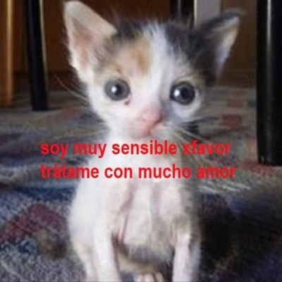 gelyasbraid's profile picture. mexican gymnerd | Sui Lu | Aliya | Eythora