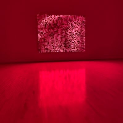 ikkakukuku's profile picture. お前いついるんだ