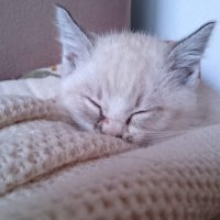 温09【tik tok @k09dk】 (@k091991) 's Twitter Profile