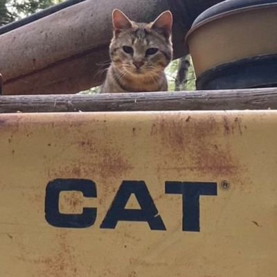 Acido_Veneno's profile picture. NSFW I guess.