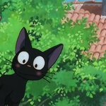 hav3agd's profile picture. Multifandom 🏳️‍🌈