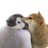 miru_zeta10VE's profile image