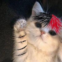 whitezins (@whitezins13) 's Twitter Profile Photo whitezins (@whitezins13) 's Twitter Profile Photo