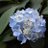 Heaven_ppp8