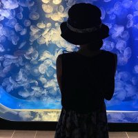 NTR寝取らせ (@ballet_wife) 's Twitter Profile