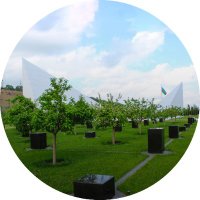 Soyqırımı Memorial Kompleksi (@memorialcomplex) Twitter profile photo