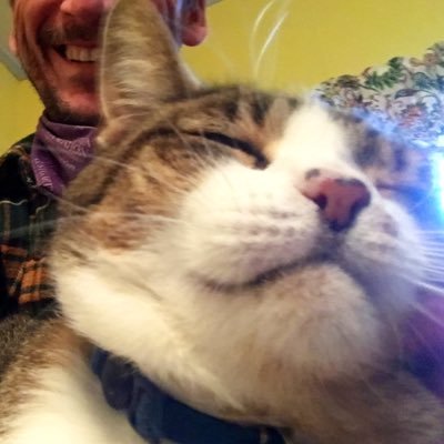 BarneyBroox's profile picture. Hudson Valley guy who likes the NY Rangers and Iron Maiden (not necessarily in that order) -