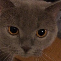 Luis Bustamante (@luisbus16586075) 's Twitter Profile