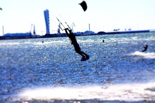 dogge100's profile picture. är allt och ingenting