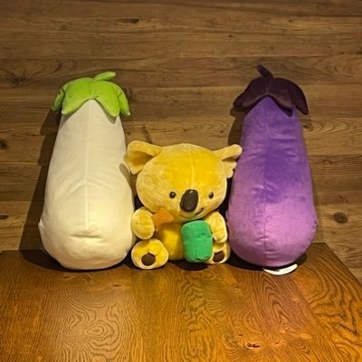 デュエル・マスターズのCSを開催しています。各大会のマッチング確認や遅刻連絡はプロフ欄のリンクからお願いします。DMでは原則遅刻対応は受け付けていません。