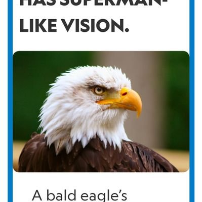 BraveKempton's profile picture. 