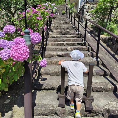 育児中主婦👦👶
海外旅行✈️/管理栄養士/料理、お菓子作り🍪/
※リツイートoff推奨します‼️

写真の無断使用❎