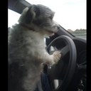 Roy Malcolm - @RoyMalcolm1 - Twitter