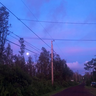 trippy9009's profile picture. 