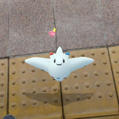 8ddbpP1Isz66570's profile picture. 