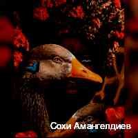 Сохи Амангелдиев (@amageldievsoh2) 's Twitter Profile