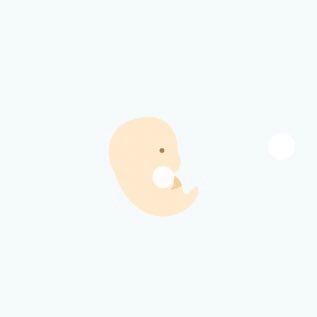 すこやかな妊娠と出産のために ハヤシ・ニットのモコモコベビーソックス最高に可愛いからみてみ？
