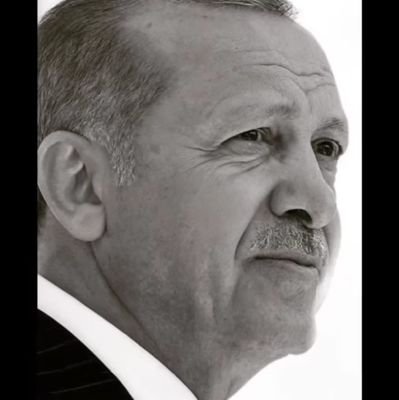 Afos_gngr1's profile picture. 