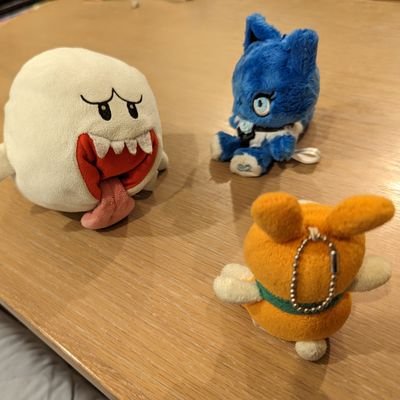 @electric_ltdexp