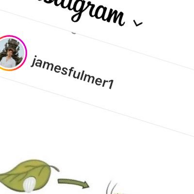 ChellyMarti's profile picture. 