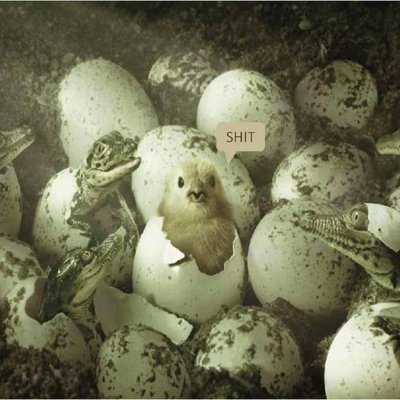 abbaslaryolcu's profile picture. :D HE/MAN