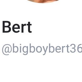 bigboybert36's profile picture. 