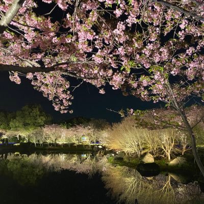 n1n0617's profile picture. 