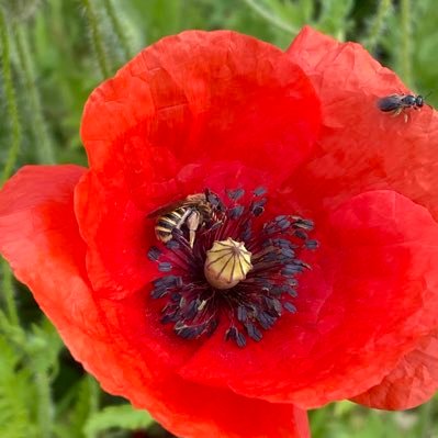 tsb426yvff's profile picture. 