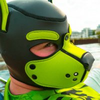 Pup_Arik (@pup_arik) 's Twitter Profile