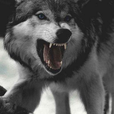 BalluGaurav's profile picture. 