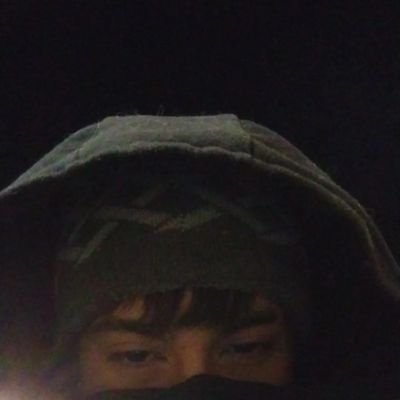 codeqlll's profile picture. 