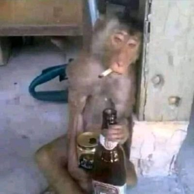 TatyTyssy's profile picture. see