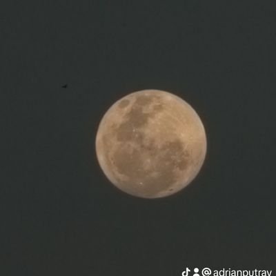 adrianvalendra Profile Picture