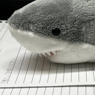 RubinJya's profile picture. #StandWithUkraine🇺🇦