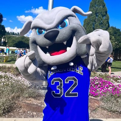 Official Mascot of the UNC Asheville Bulldogs