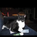 John Springman - @johnvgps - Twitter