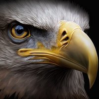 Eagle Eyes Multibagger Investment(@EagleEyesTrades) 's Twitter Profile Photo