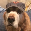 Bob Beasley - @winterharborguy - Twitter