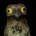 Tom Bombadil (@tom43548285) Twitter profile photo Tom Bombadil (@tom43548285) Twitter profile photo