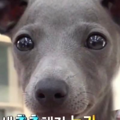 zpfhfhrlfhfh's profile picture. 인생은 오직 에이티즈로 굴러감 •••더보기