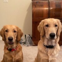 Baxter&Bailey(@B2BaxterBailey) 's Twitter Profile Photo